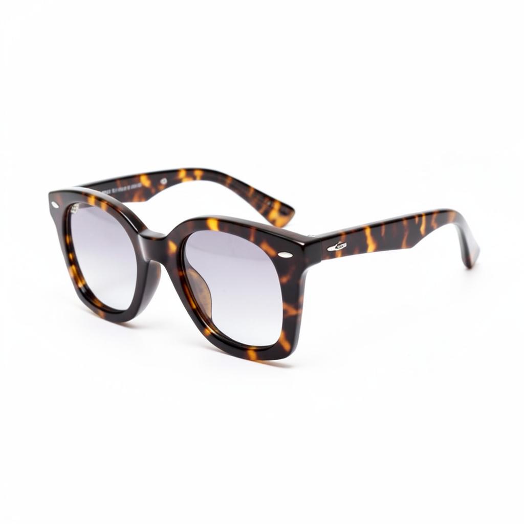 Tortoiseshell sunglasses with case